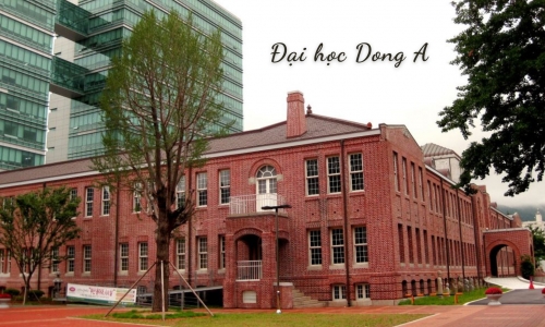 ĐẠI HỌC DONG A – 동아대학교 TOP 2%